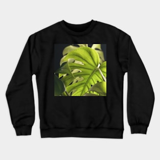 Monstera Layers Crewneck Sweatshirt